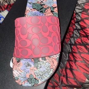Coach Slides